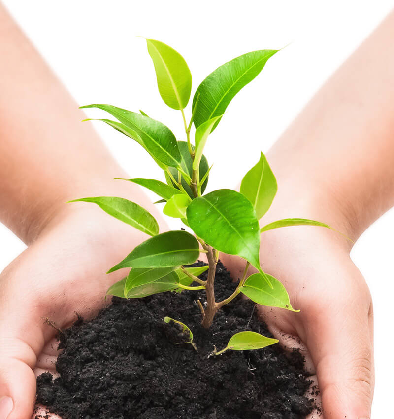 Agronomické synergie